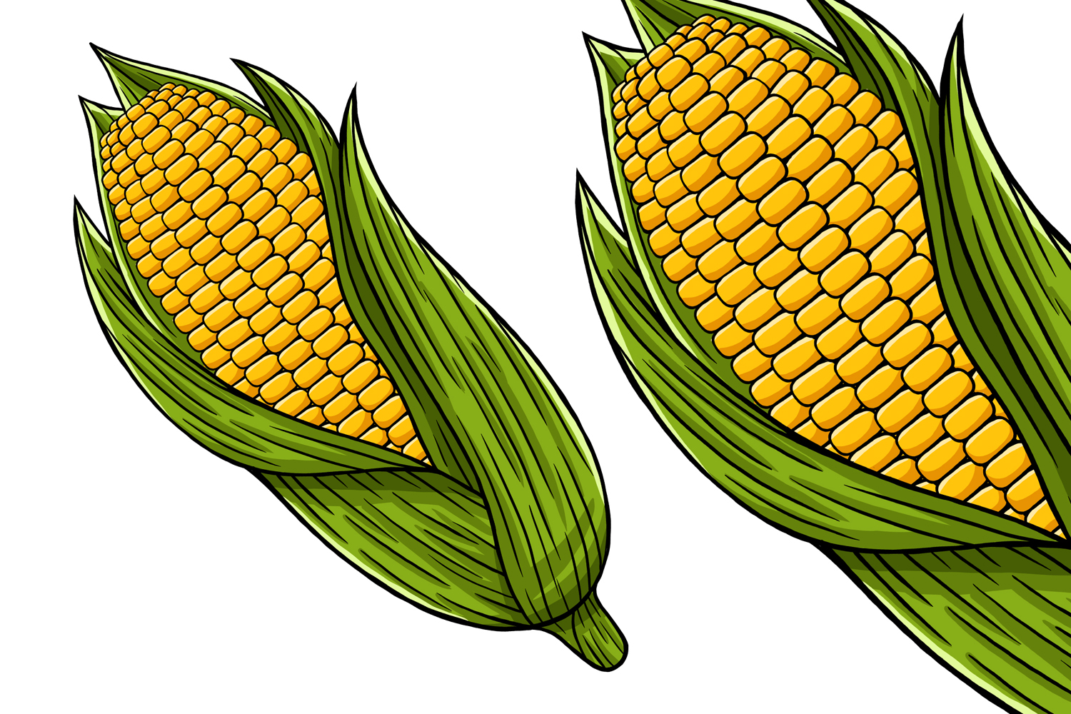 Corn Vegetable Vector Illustration