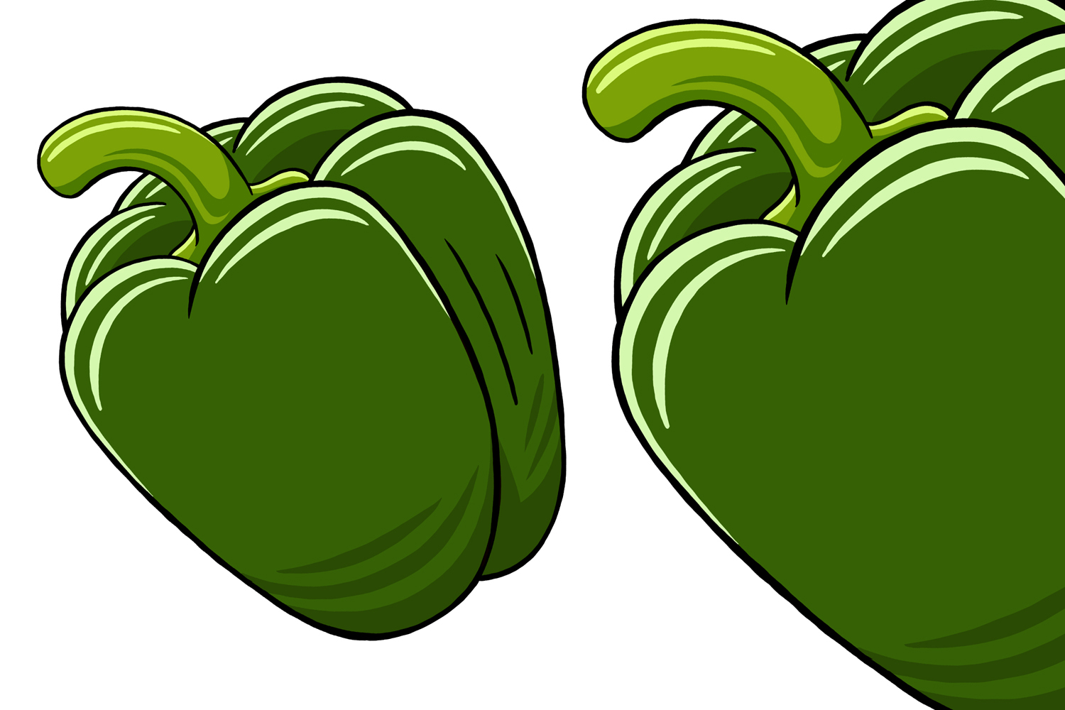 Green Pepper Vector Illustration