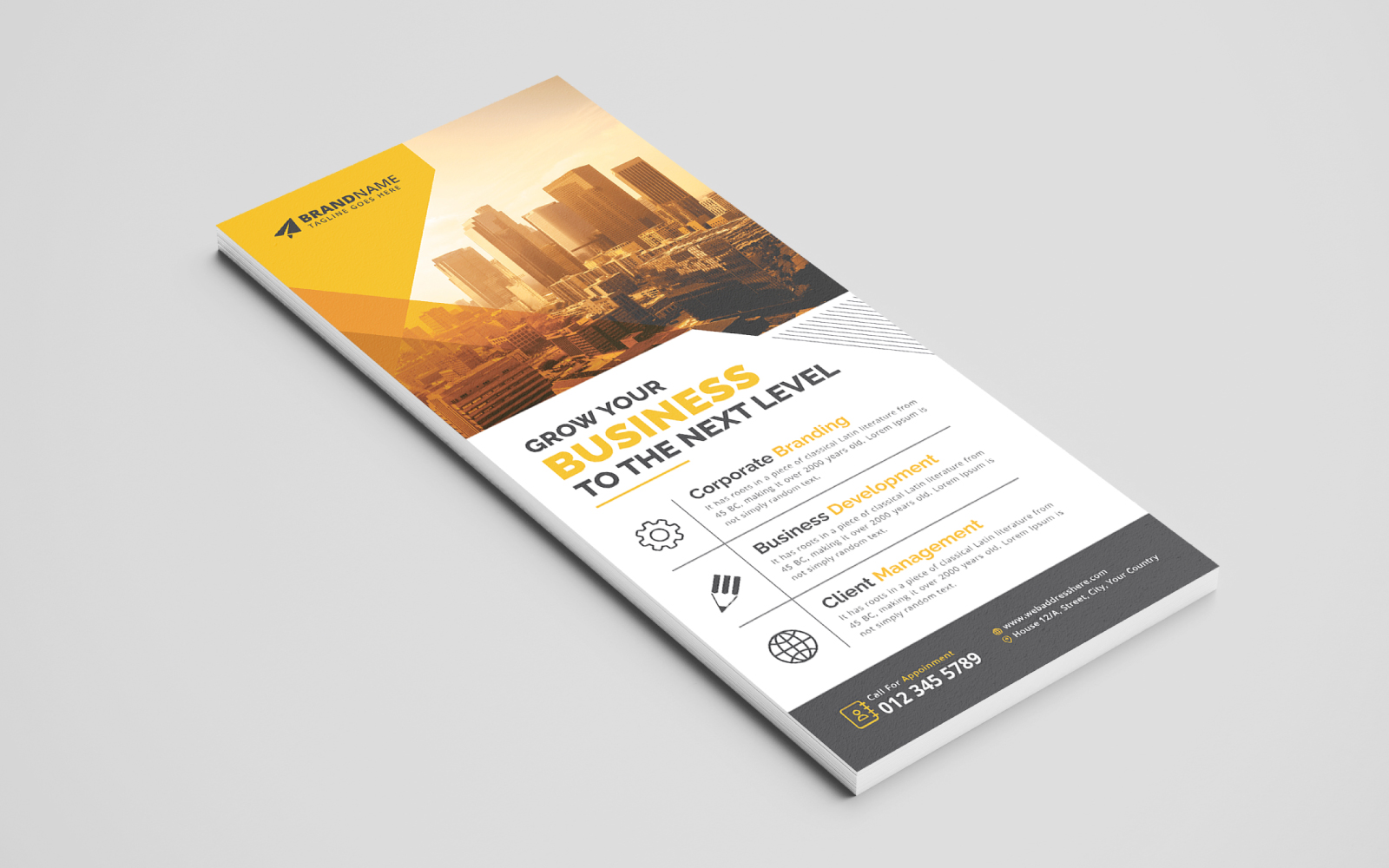 ;Professional Corporate DL Flyer Template, Business Rack Card Design for Multipurpose Use