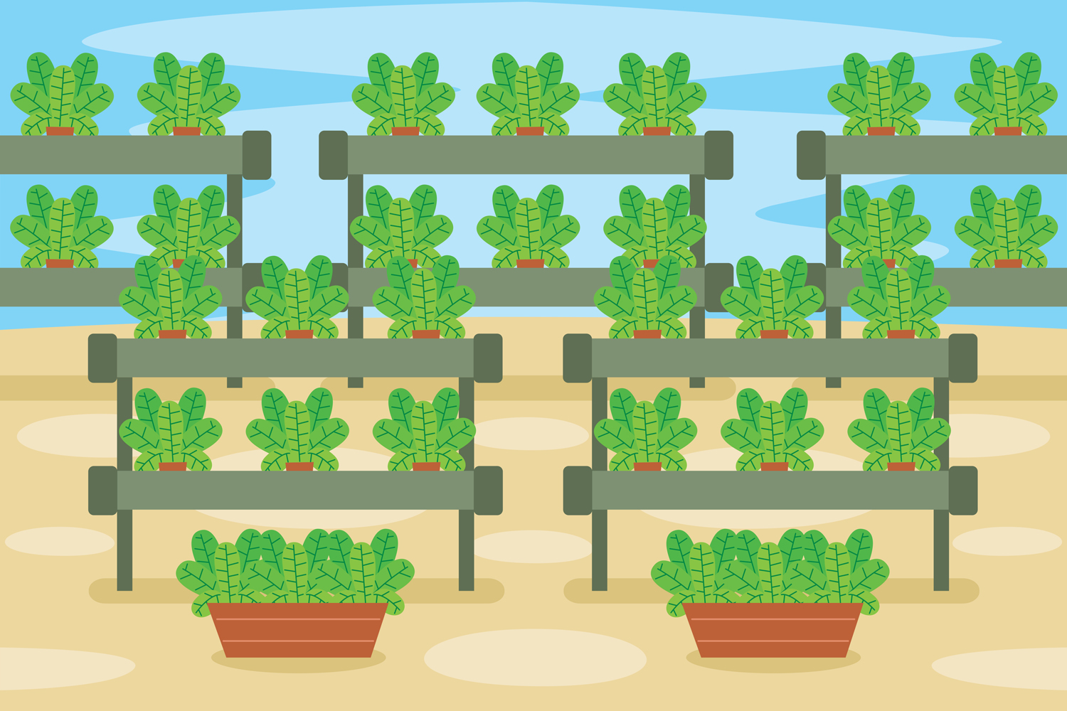 Hydroponics Vector Illustration