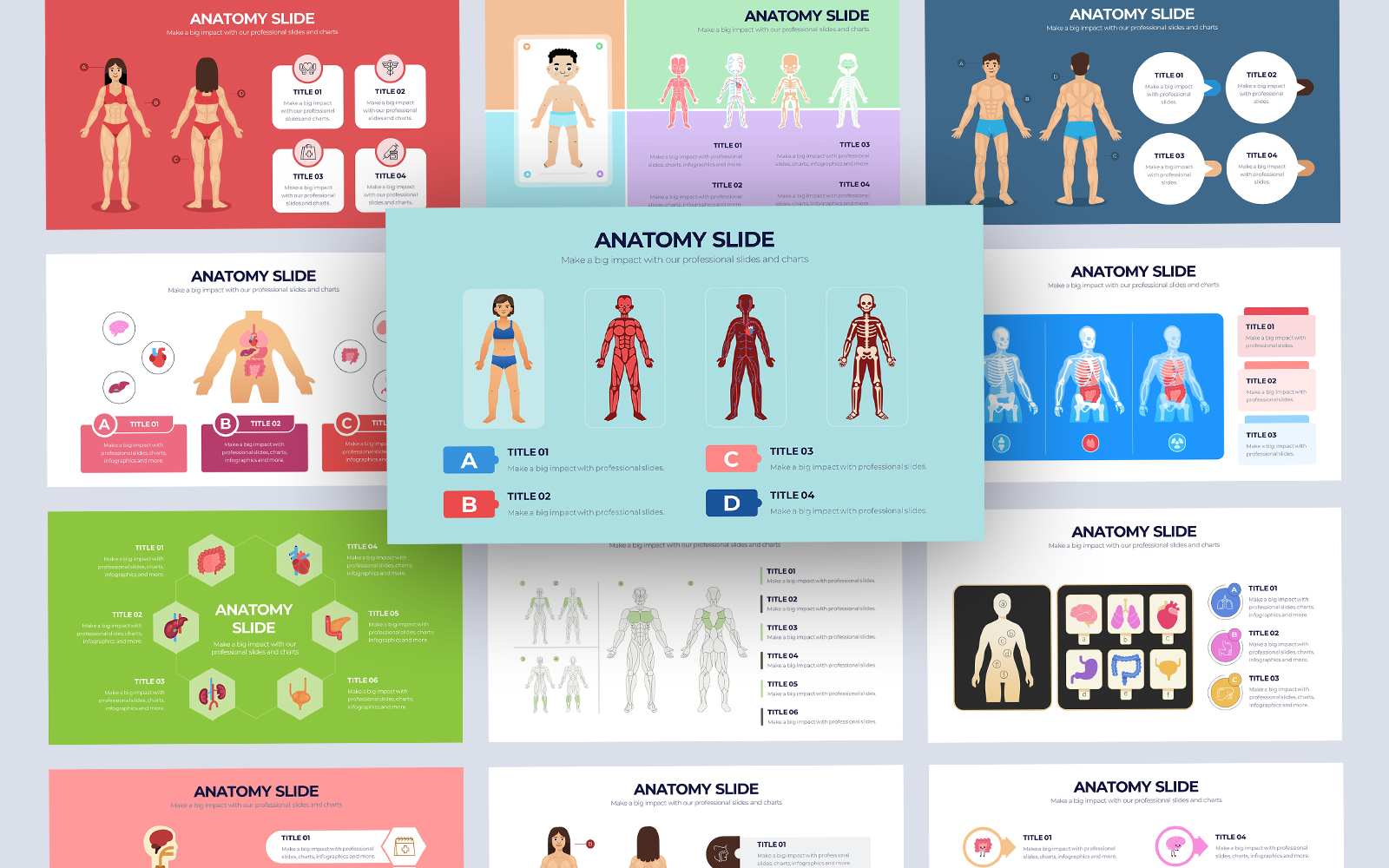 Human Anatomy Vector Infographic Keynote Template