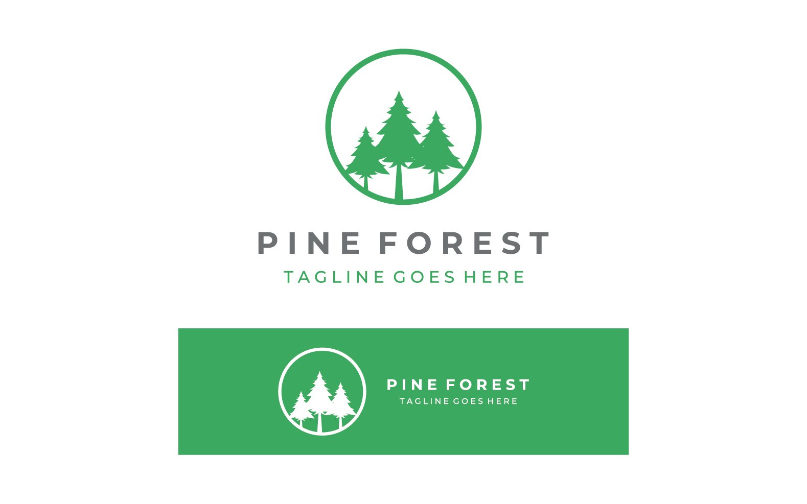 Pine forrest tree logo vector 18