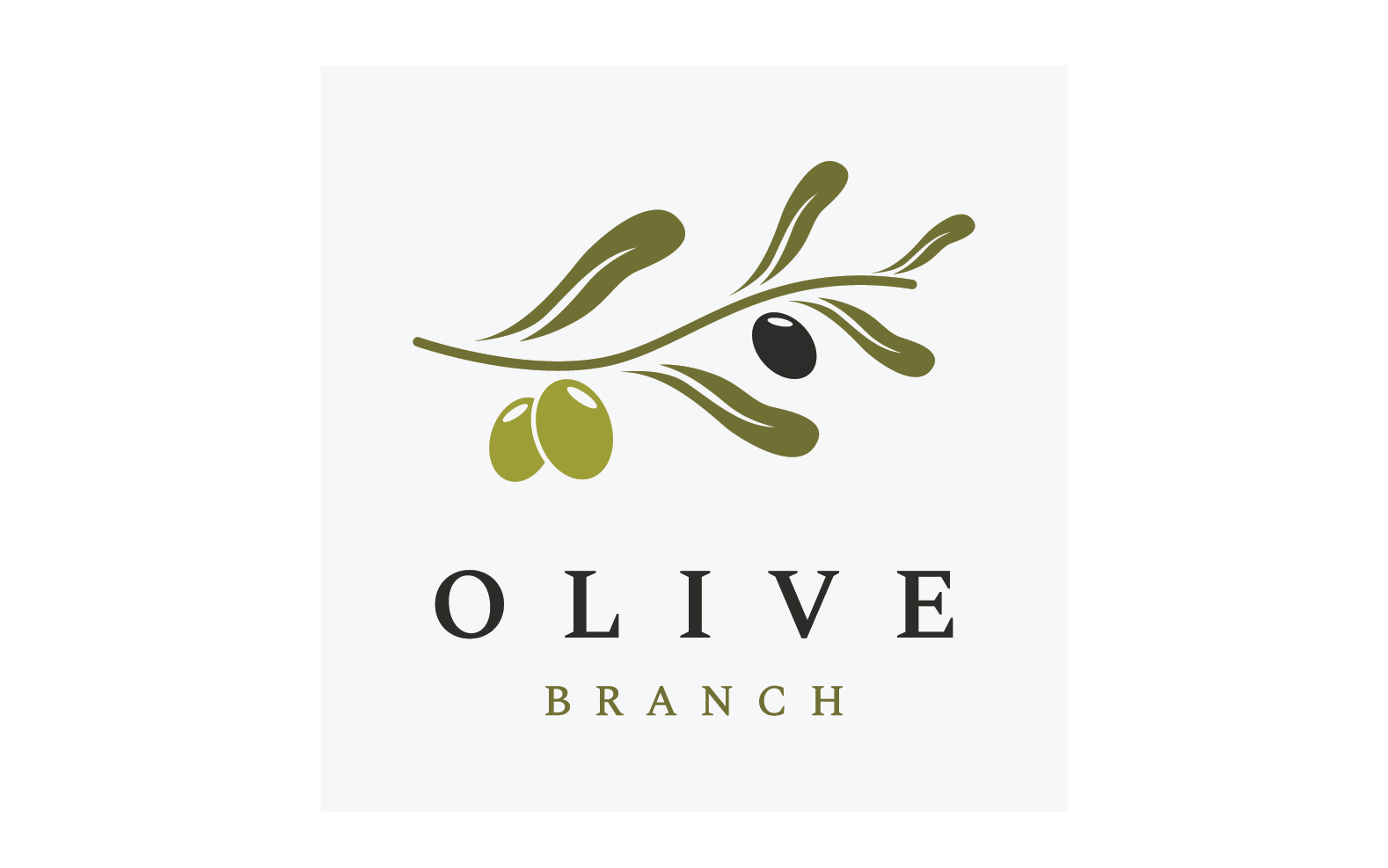 Olive oil tree logo vector 6
