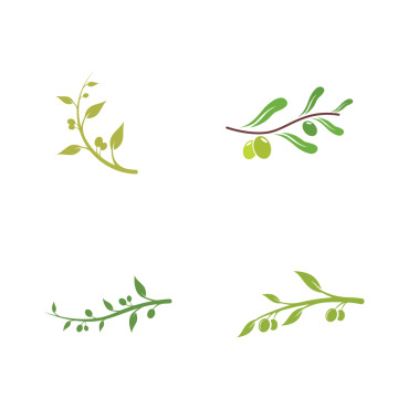 Olive Oil Logo Templates 307968