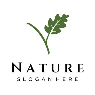 Nature Oak Logo Templates 308369