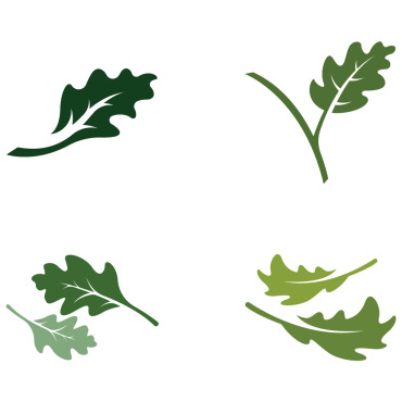 Nature Oak Logo Templates 308378