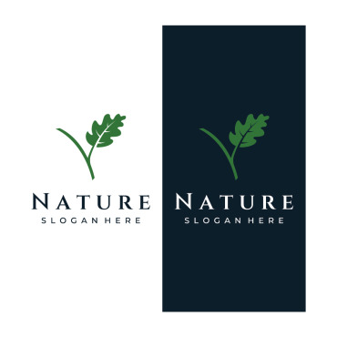 Nature Oak Logo Templates 308380