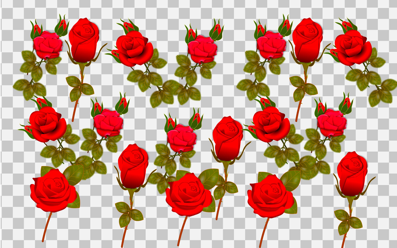 Rose realistic rose leaf and bud with red flowers vector  idea