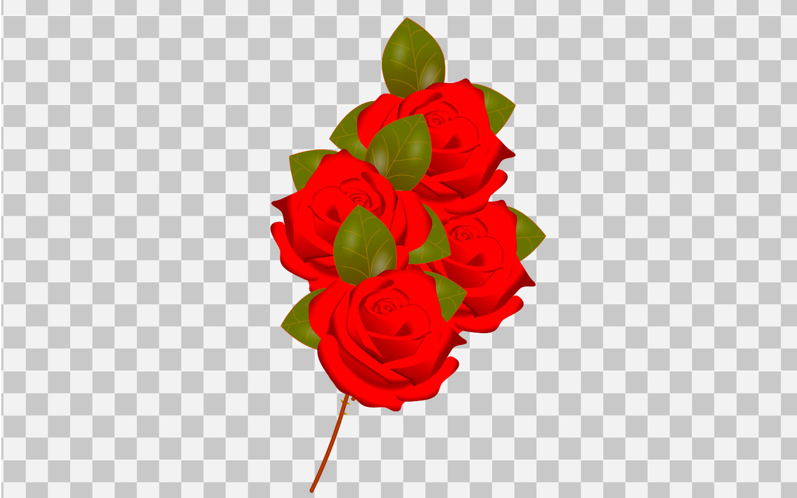 Rose realistic rose leaf and bud with red flower