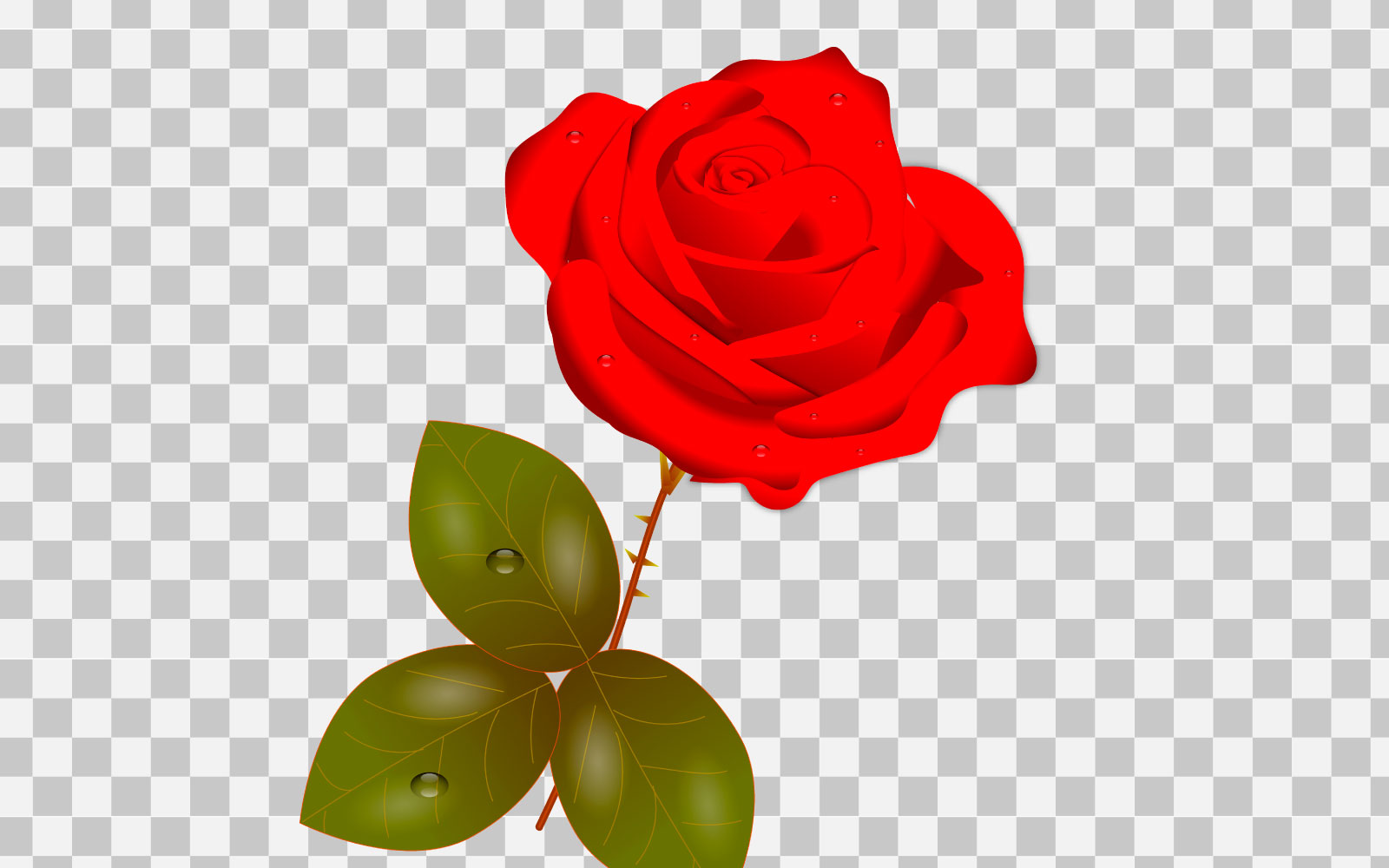 vector red rose realistic rose bouquet  with red flowers