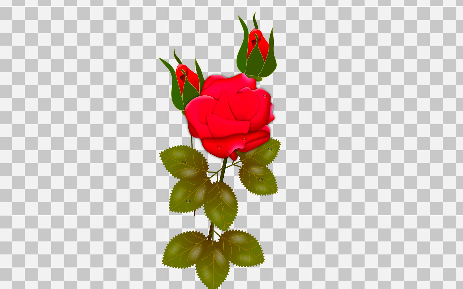 vector red rose realistic rose bouquet  with red flowers concept