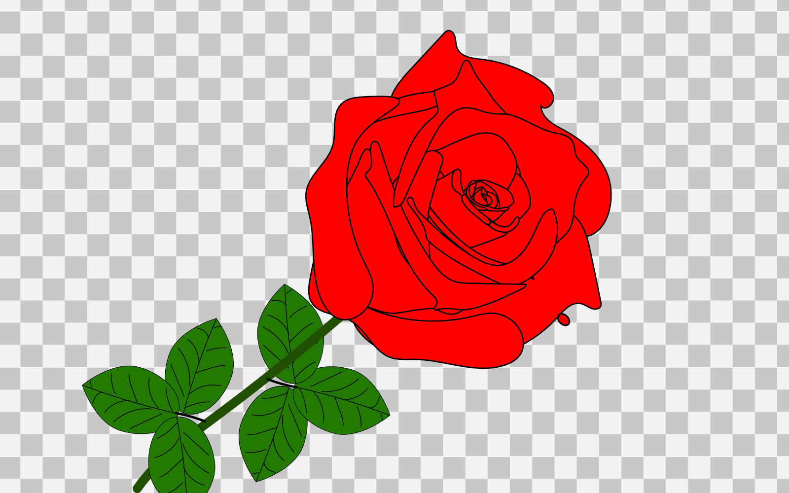 vector red rose realistic rose bouquet  with red flower concept