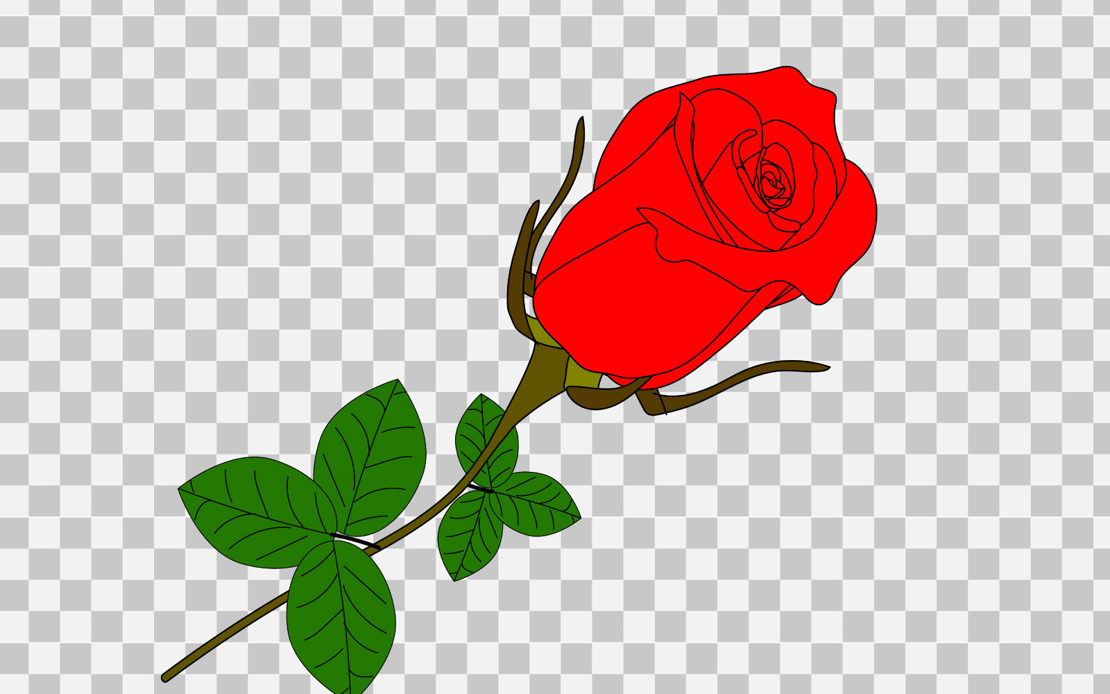 Red rose realistic rose bouquet  with red flower vector concept