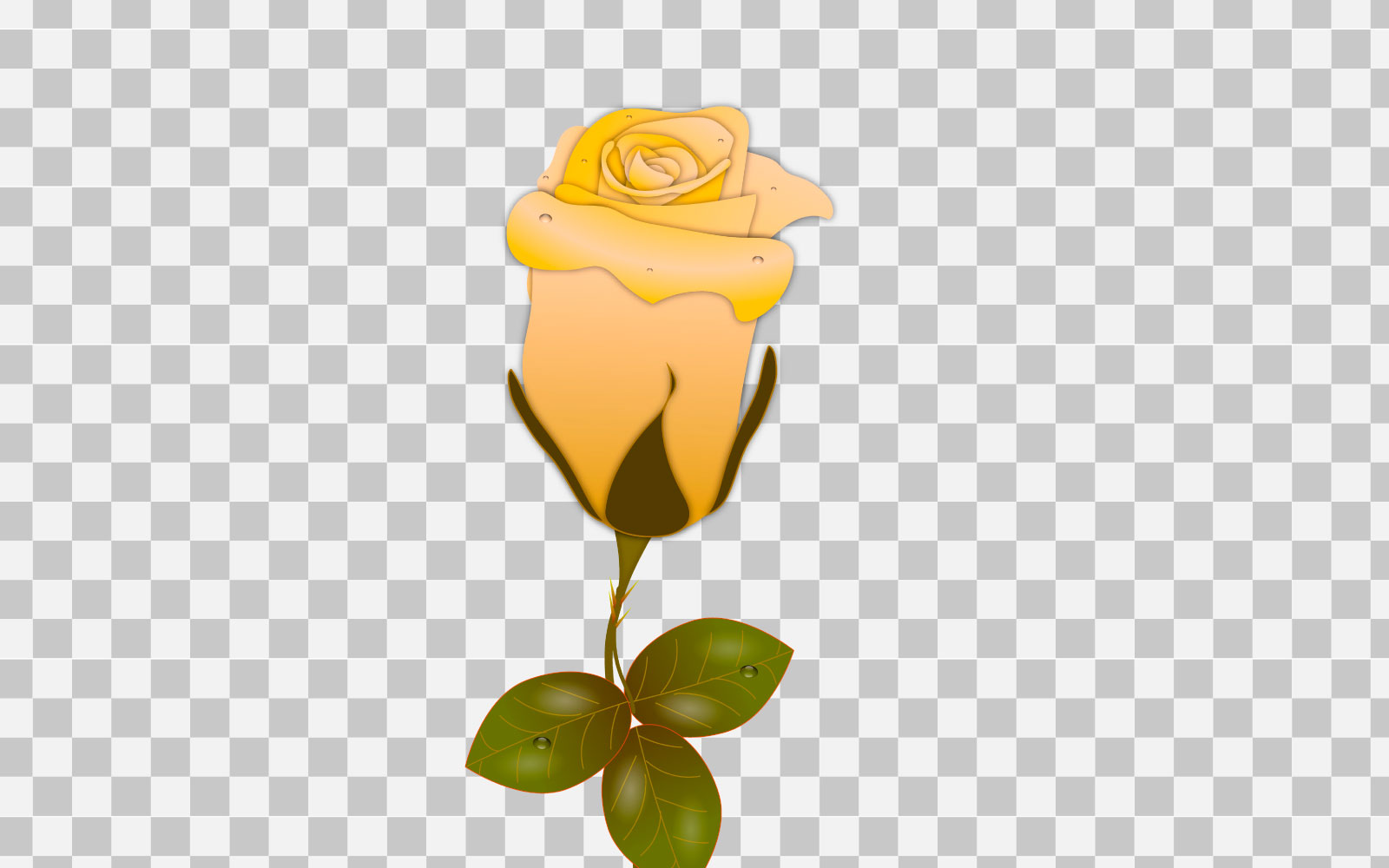 vector yellow rose realistic rose bouquet with red flower use for template