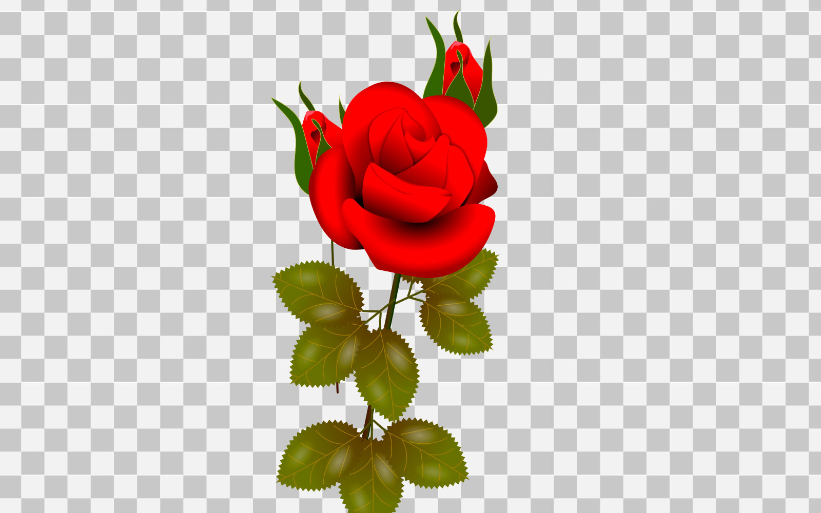 vector red rose realistic rose bouquet with red flower use for card  concept