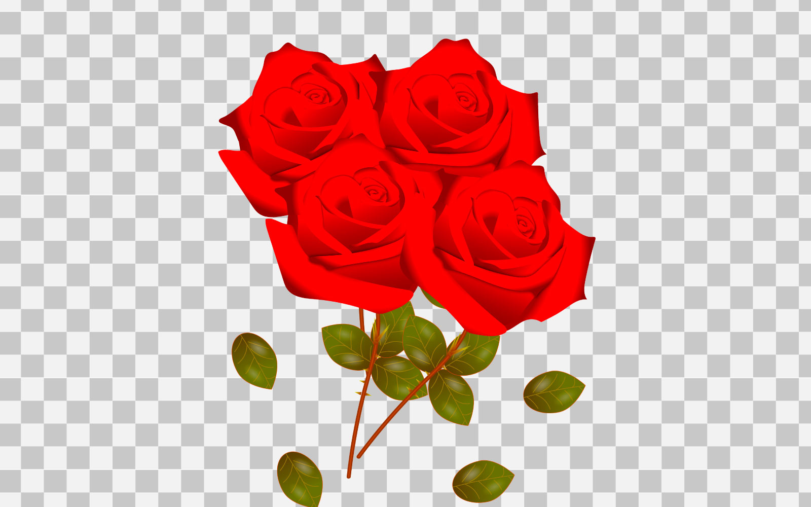 vector red rose set  realistic rose bouquet with red flower concept
