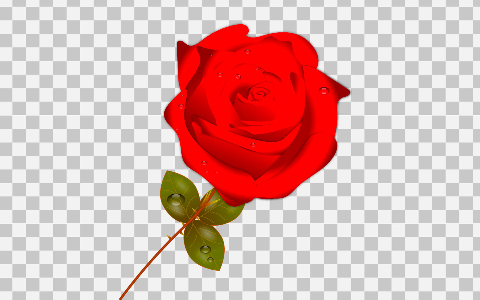 vector singel red rose realistic rose bouquet with red flower concept
