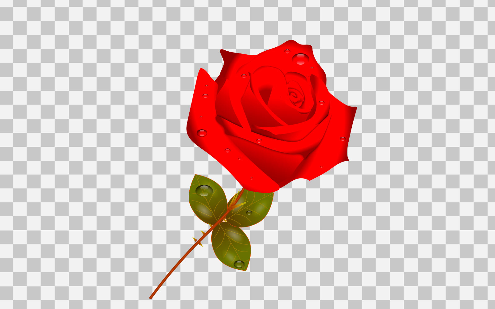 vector red rose realistic rose bouquet with red flower design idea