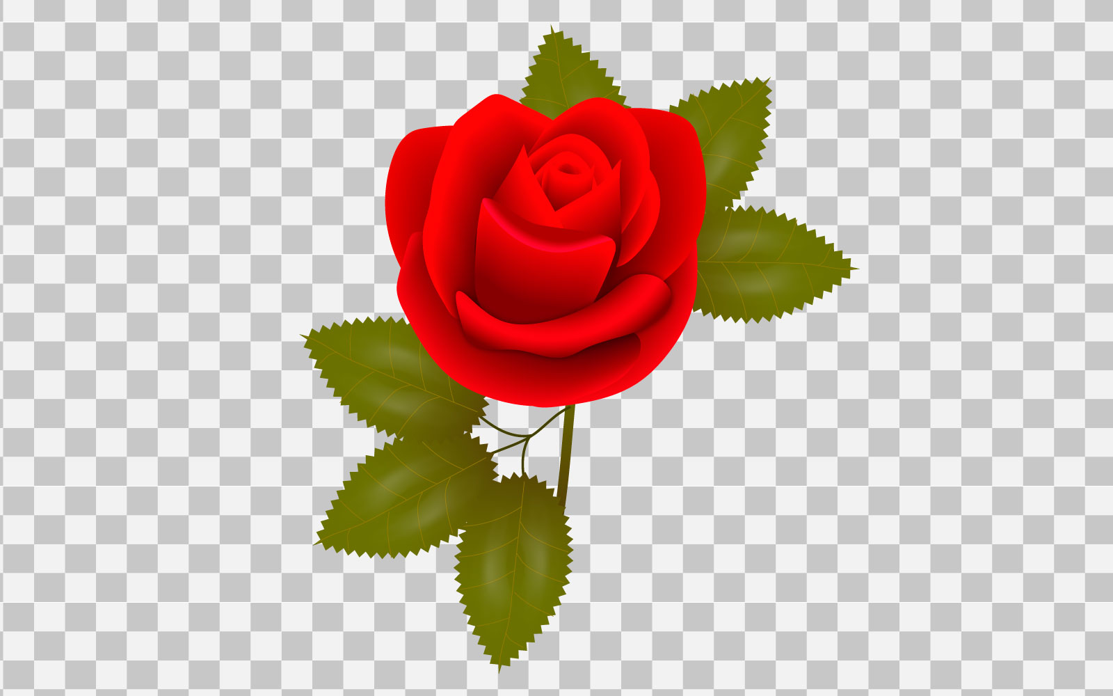 vector red rose realistic rose bouquet with red flower concept idea