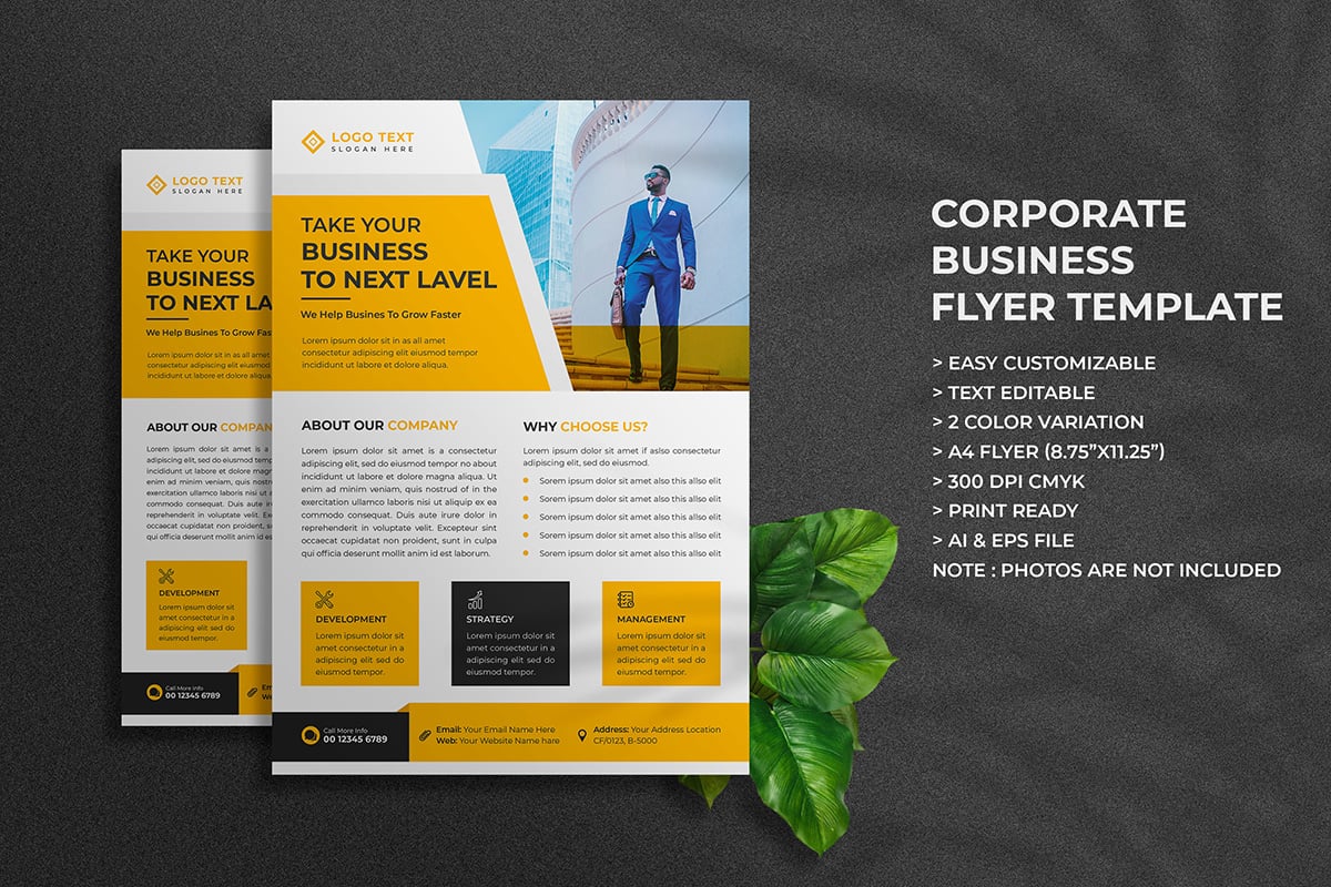 Digital marketing agency and flyer design template