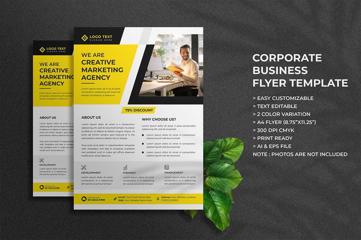 Creative Business Marketing Agency Flyer Template and Flyer Presentation