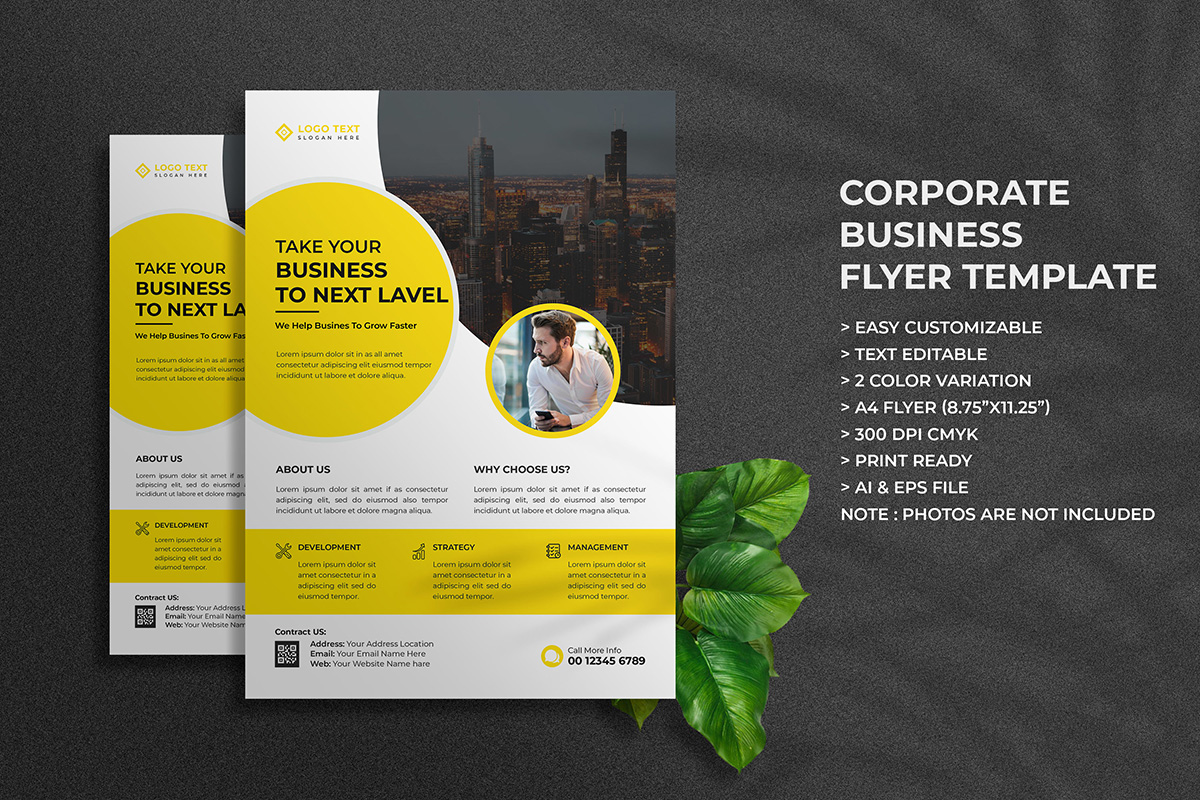 Digital Marketing Agency Flyer Template Design and Business Flyer Template