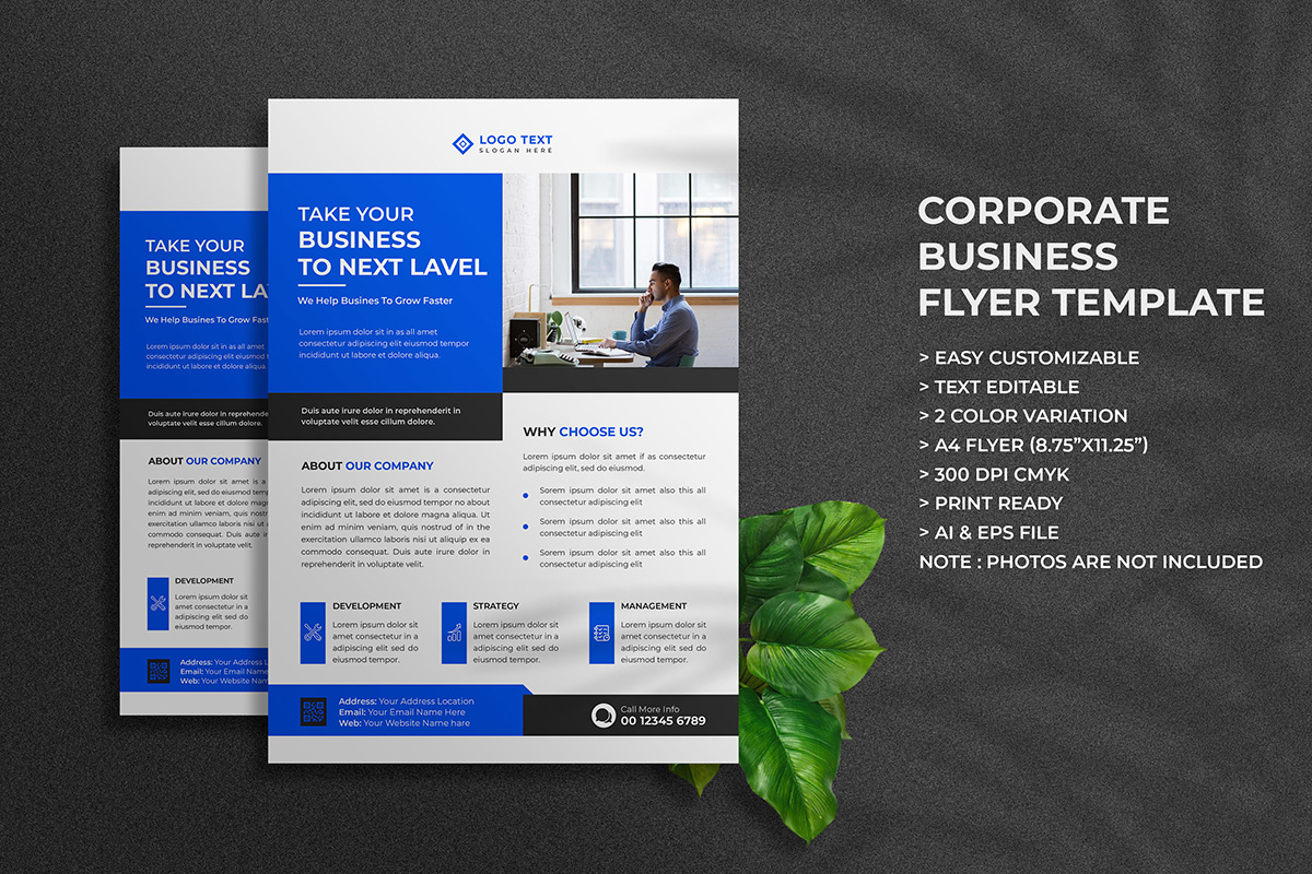 Digital Marketing Agency Flyer Template Design and Business Flyer Layout