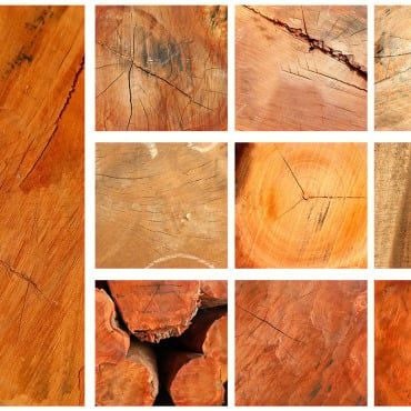 Texrure Wood Backgrounds 309368