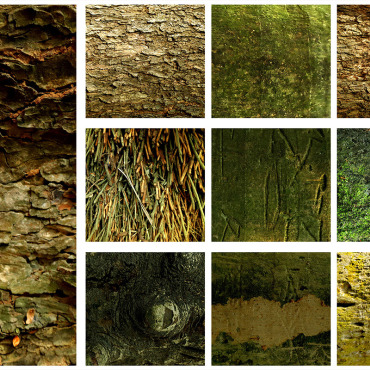 Texture Wood Backgrounds 309375