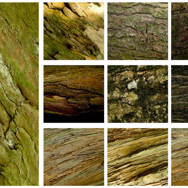Texture Wood Backgrounds 309377