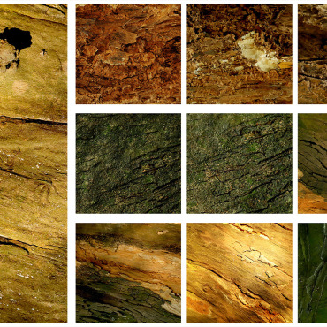 Texture Wood Backgrounds 309378