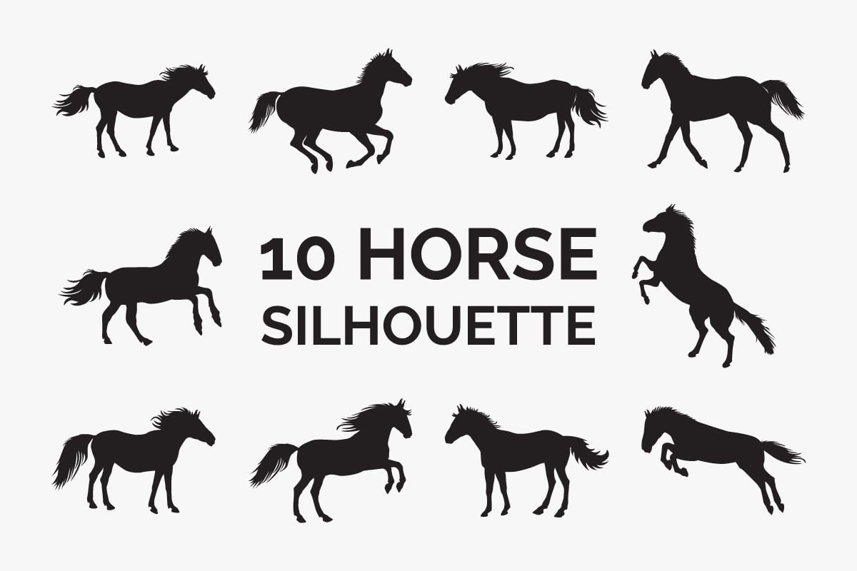 Horse dark silhouette collection vector