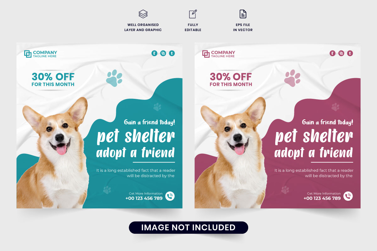 Pet veterinary promotional template