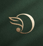 Logo Templates 311140