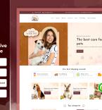 Shopify Themes 311303