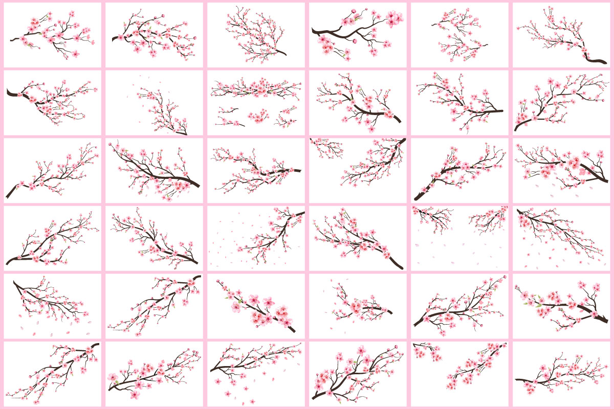 Cherry blossom flower branch collection