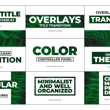 Big Titles Motion Graphics 312135