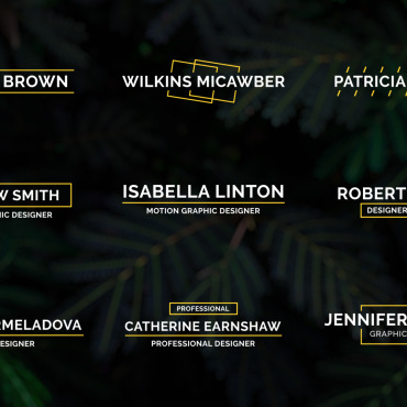 Professional Titles Motion Graphics 312147