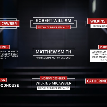 Professional Titles Motion Graphics 312150