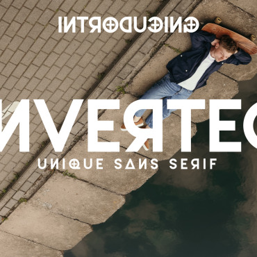 <a class=ContentLinkGreen href=></a></font> polices sans 312319