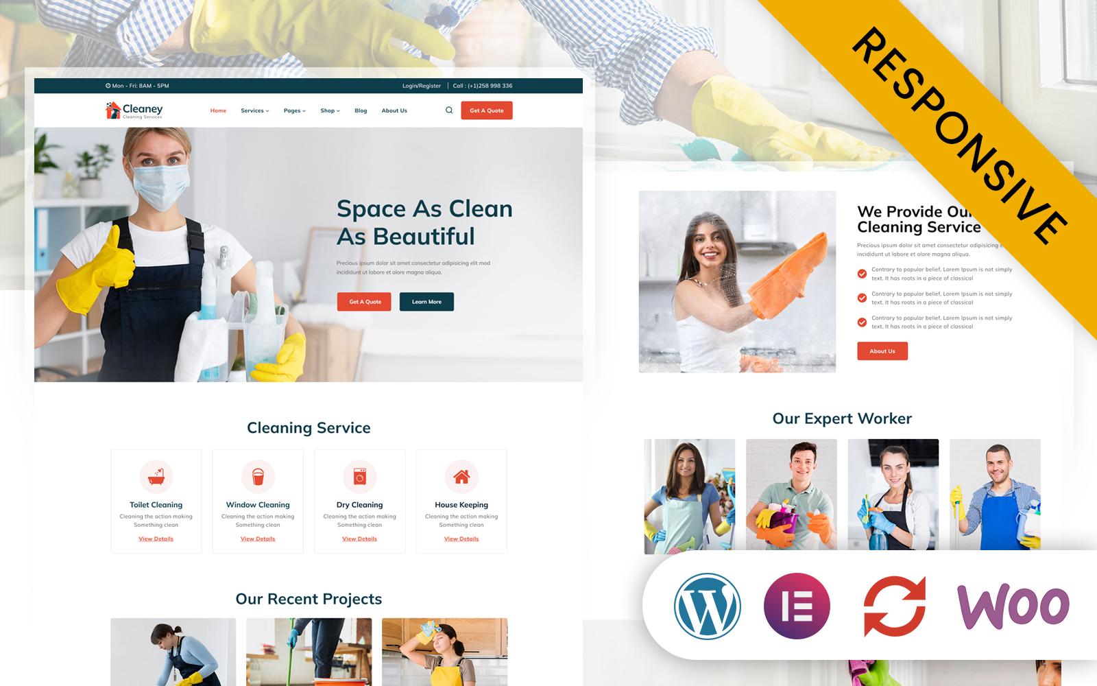 Cleaney - Cleaning and Maintenance Services Elementor WordPress Theme