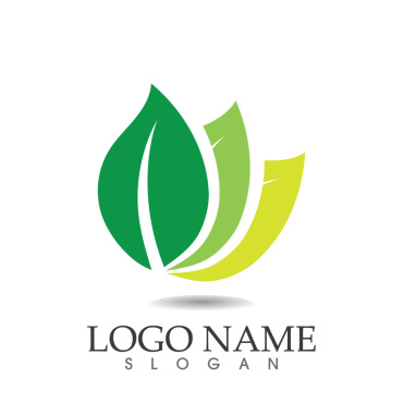 Leaf Fresh Logo Templates 314780