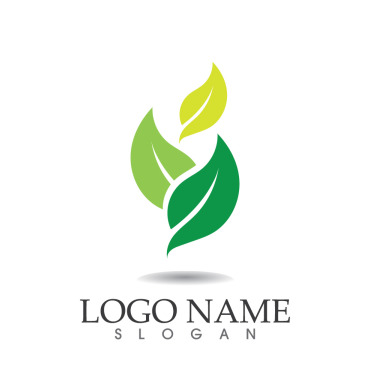 Leaf Fresh Logo Templates 314781