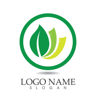 Leaf Fresh Logo Templates 314813