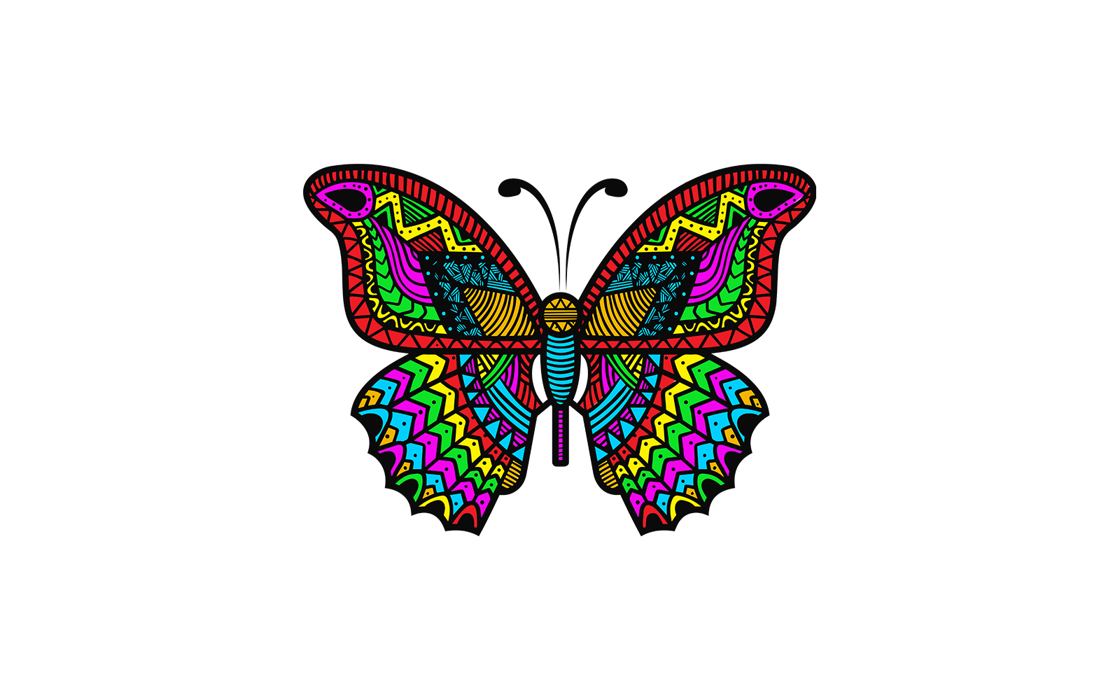 Realistic Colorful Butterfly Graphic Template