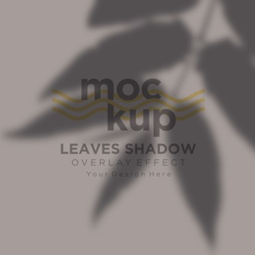 Leaves Shadow Product Mockups 315575