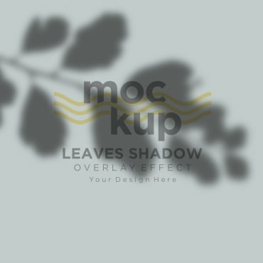 Leaves Shadow Product Mockups 315647