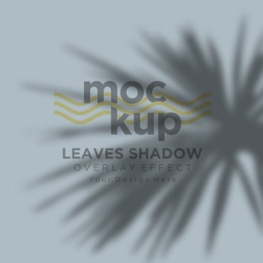 Leaves Shadow Product Mockups 315648