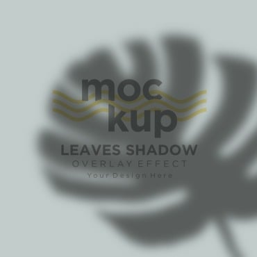 Leaves Shadow Product Mockups 315706