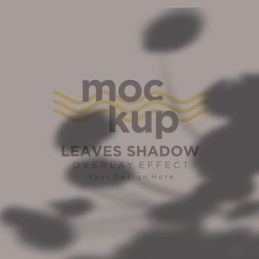 Leaves Shadow Product Mockups 315787